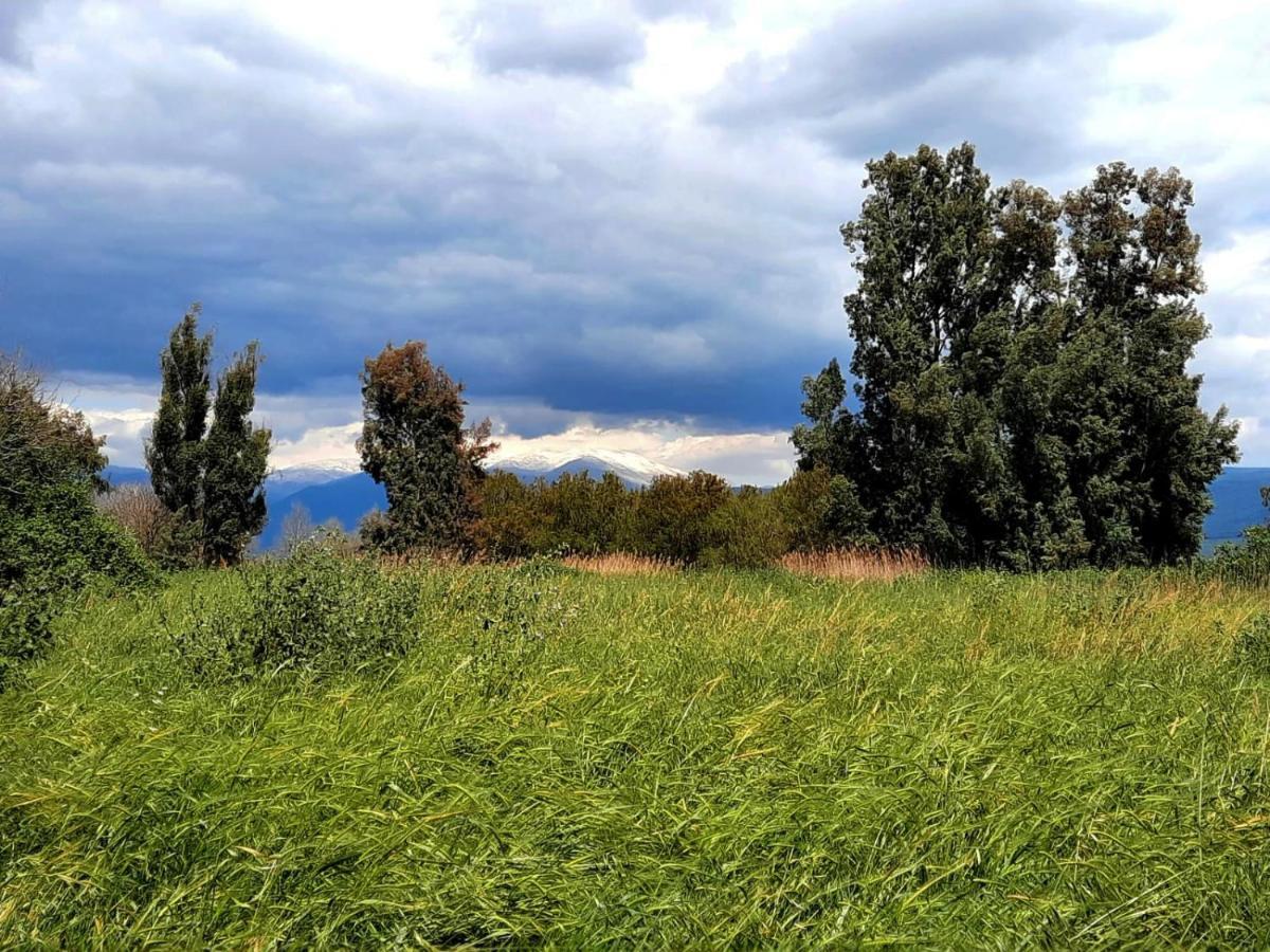 בית קסום בשדה נחמיה Villa Dış mekan fotoğraf
