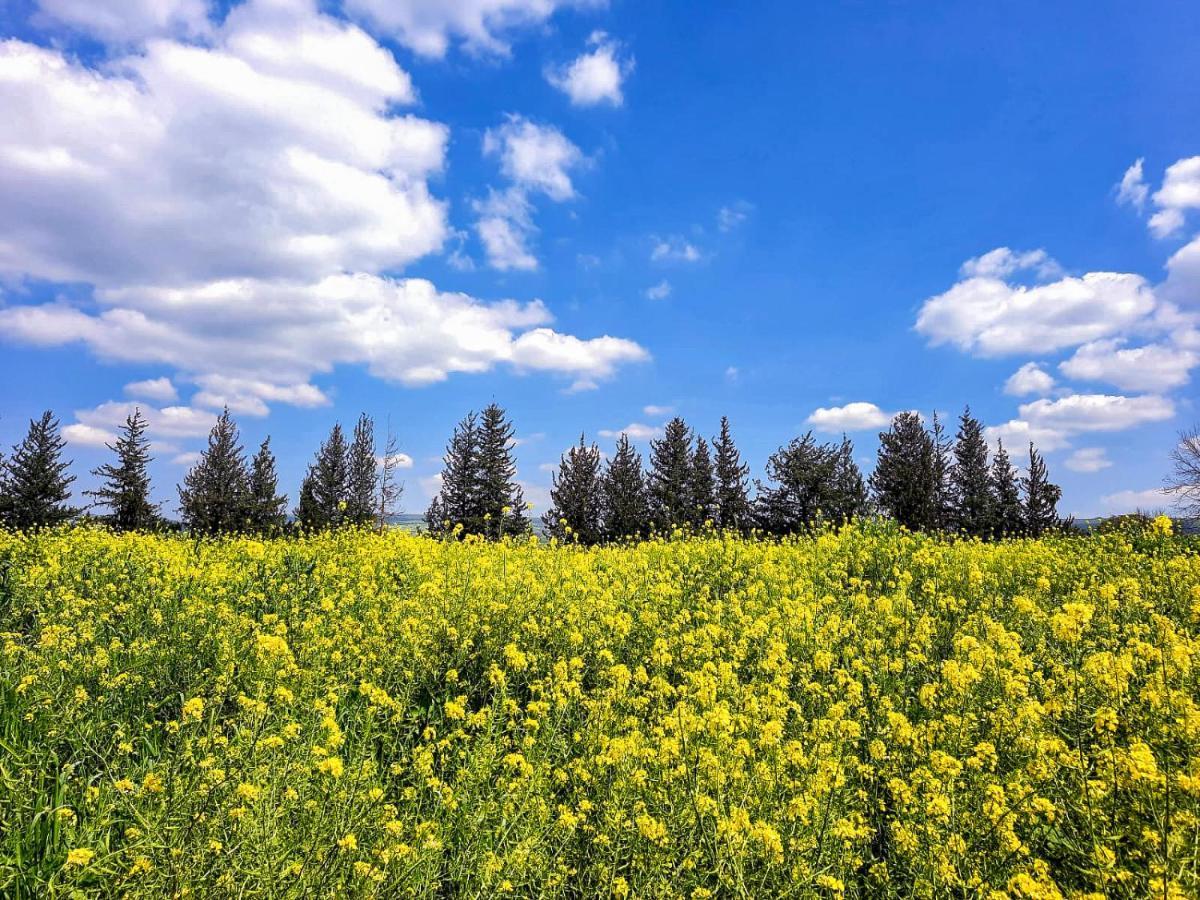 בית קסום בשדה נחמיה Villa Dış mekan fotoğraf